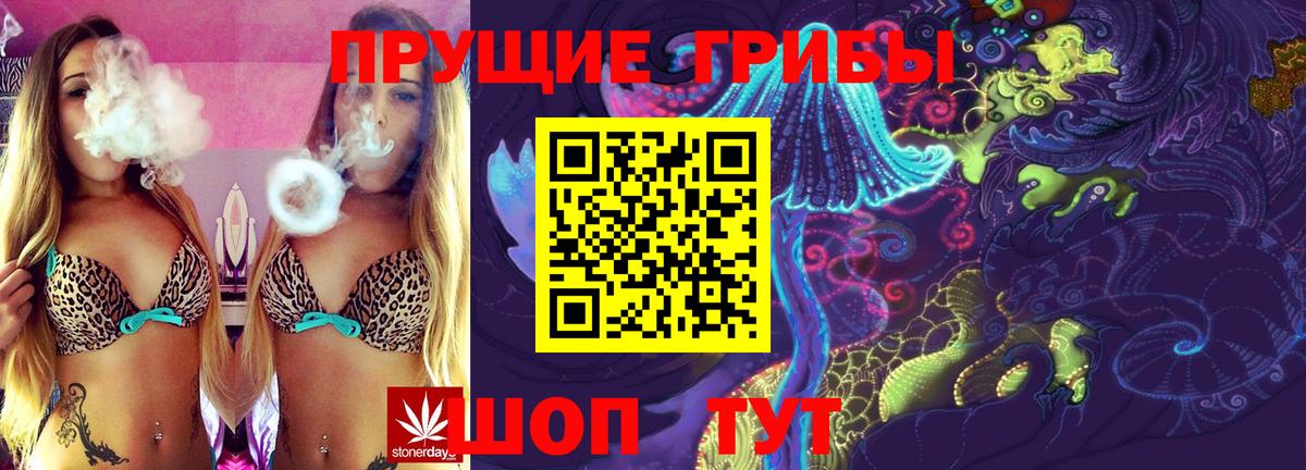 Одинцово  Псилоцибиновые грибы Psilocybe  Вход с VPN 
