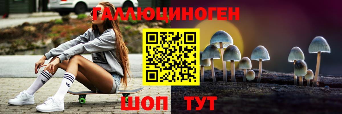 Псилоцибиновые грибы Psilocybe Одинцово